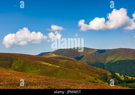 Colline herbeuse de crête de montagne. beau temps avec ciel bleu et quelques nuages. joli paysage d'été Banque D'Images