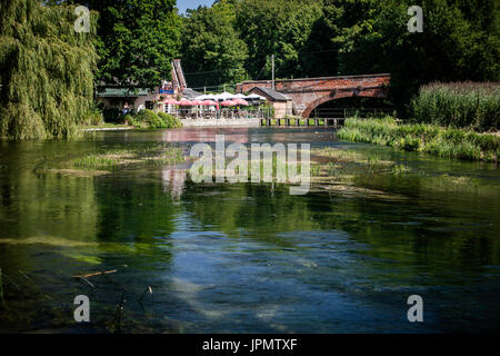 Voir l'essai en amont sur la rivière vers l'éphémère (Fullerton, près de Stockbridge, Hampshire, Angleterre Banque D'Images