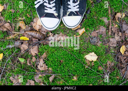 Grungy sneakers à pied à travers les bois, forêt. arrière-plan, la nature. Banque D'Images