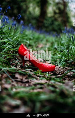 Seule chaussure haut talon rouge à gauche dans la forêt Banque D'Images