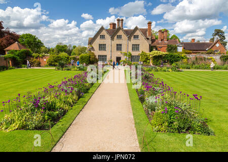 Allium fleurs colorées dans le jardin frontières à Packwood House - un manoir Tudor préservé dans le Warwickshire, Angleterre, RU Banque D'Images