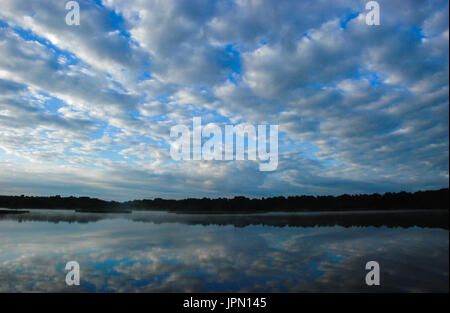 Tôt le matin, réflexions d'altocumulus et ciel bleu dans l'eau à l'étang de la flotte, Hampshire, Royaume-Uni Banque D'Images