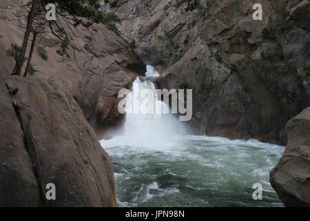 Roaring River Falls, King's Canyon National Park, California, United States Banque D'Images