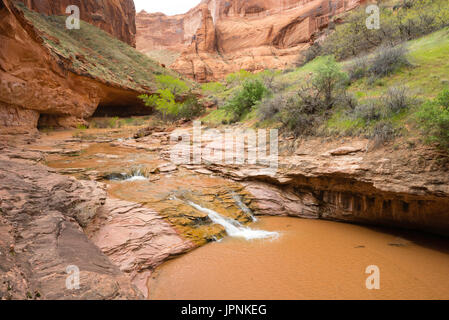 Une chute dans le ravin du coyote, grand escalier-Escalante National Monument (Utah). Banque D'Images