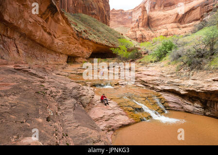 Une chute dans le ravin du Coyote, Grand Staircase-Escalante National Monument (Utah). Banque D'Images