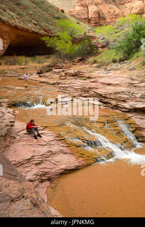 Une chute dans le ravin du Coyote, Grand Staircase-Escalante National Monument (Utah). Banque D'Images