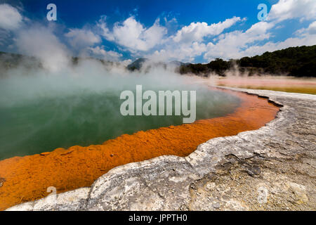 La vapeur d'eau chaude à la piscine de Champagne, Waiotapu la Réserve Thermale, Rotorua, île du Nord Nouvelle-zélande Banque D'Images