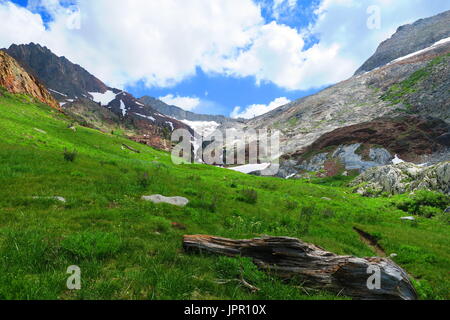 Paysage alpin, chef blanc Canyon, Sequoia National Park, California, United States Banque D'Images