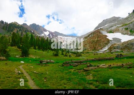 Chef Blanc Canyon, Sequoia National Park, Californie Banque D'Images