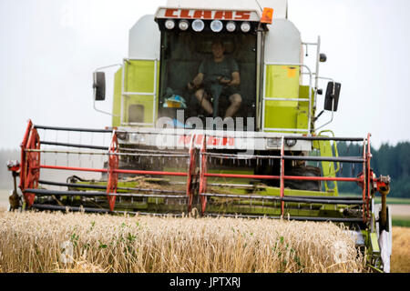 Moissonneuse batteuse - Récolte de Blé, Bavaria Allemagne Banque D'Images