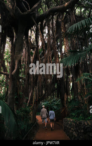 Couple de touristes suivez le chemin dans la jungle en Ara Loro parc luxuriant et verdoyant avec la végétation. Loro Parque, Puerto de la Cruz, Tenerife, Canaries Banque D'Images