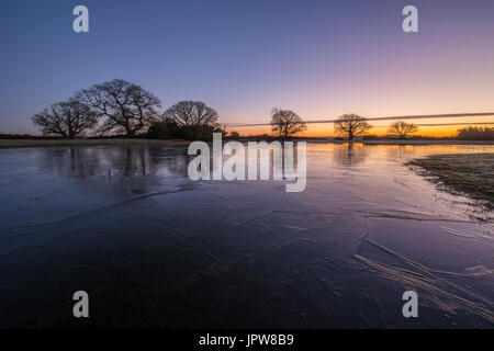 Mogshade Hill dans le New Forest. Banque D'Images