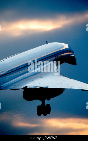 British Airways Concorde BAC Aerospatiale landing au crépuscule avec nez pendait Banque D'Images