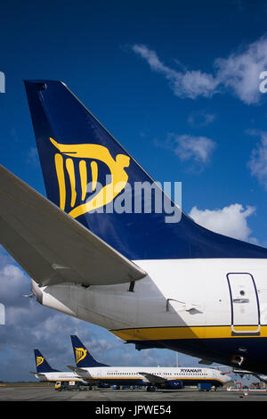 Les ailerons de queue avec des logos de Ryanair Boeing 737 garé au terminal Banque D'Images