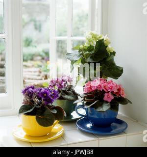 Les pots de fleurs sur le rebord de fenêtre Banque D'Images