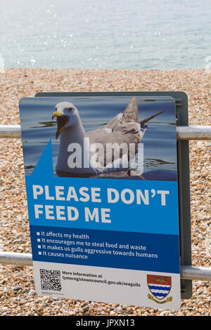 Veuillez ne pas me nourrir les mouettes signe à Lyme Regis, dans le Dorset en Juillet Banque D'Images