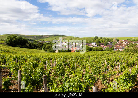 La France, cher (18), région du Sancerrois, Bué, village entouré de vignes en AOC Sancerre // France, Cher, région du Sancerrois, Bue, village entouré Banque D'Images