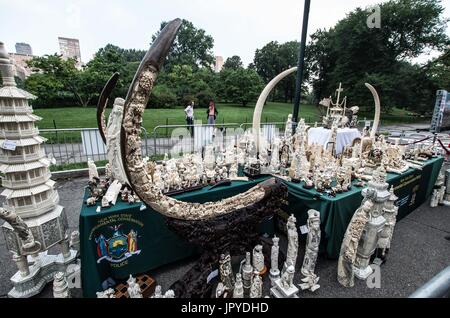 New York City, New York, USA. 3e août, 2017. Au cours d'un 'public'' Écrasement d'Ivoire organisé par le Département de la Commission de l'environnement (DEC), la Wildlife Conservation Society, Tiffany & Co., et les groupes environnementaux, tels que 96 éléphants (l'estimation du nombre d'éléphants abattus par jour), environ deux tonnes d'Ivoire saisies, d'une valeur de 8,5 millions de USD a été écrasé à New York's Central Park. En 2014, l'État de New York a adopté une loi rendant le commerce de l'ivoire a catégorie d'articles pour un crime, sauf dans certains cas avec l'approbation de l'Etat. Malgré cela, la ville de New York est la nation" Banque D'Images