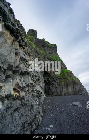 Islande - célèbre plage de Vik avec colonnes de basalte et de nombreux oiseaux Banque D'Images