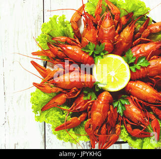 Langouste à fond blanc en bois dans une assiette Banque D'Images