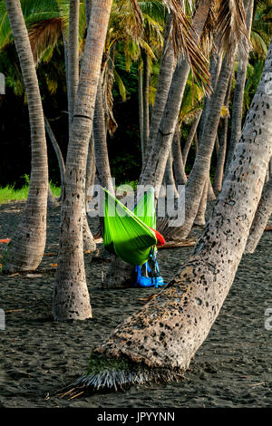 Bonjour000228-00...Hawai'i - dormir dans un hamac à Punalu'u Beach Park sur l'île d'Hawai'i. Banque D'Images