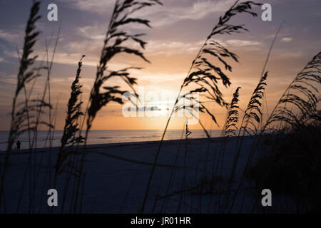 Un coucher de soleil à la plage de la queue du tigre, Marco Island Banque D'Images