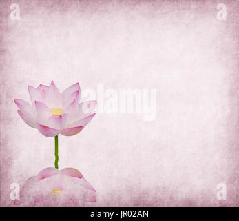 Lotus sur la old grunge background Banque D'Images