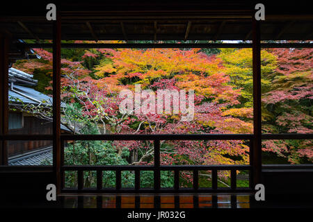 Vue d'automne de l'érable dans la couleur de l'automne dynamique encadrée par un balcon en bois japonais Banque D'Images