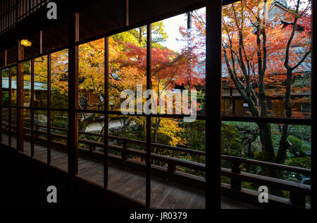 Belle vue sur les arbres d'érable de l'automne à travers les grandes fenêtres à Kyoto, Japon Banque D'Images