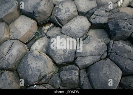 Lit de roches volcaniques basaltiques hexagonales colonnes à la Giant's Causeway Coast - Le Site du patrimoine mondial naturel de l'Irlande du Nord d'Antrim Bushmills Banque D'Images