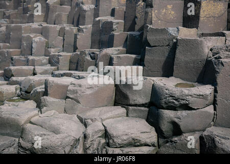 Lit de roches volcaniques basaltiques hexagonales colonnes à la Giant's Causeway Coast - Le Site du patrimoine mondial naturel de l'Irlande du Nord d'Antrim Bushmills Banque D'Images