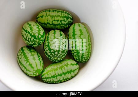 Cucamelons fruits miniatures Banque D'Images