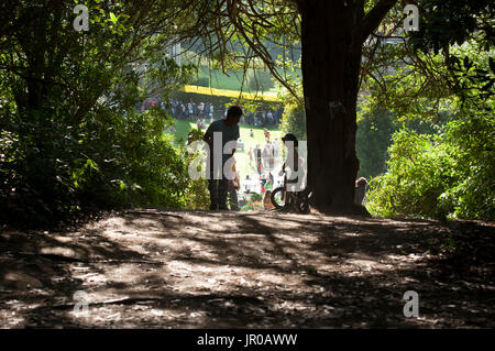 Enfants silhouettés jouant dans l'ombre des arbres au Port Eliot Festival Cornwall UK Banque D'Images