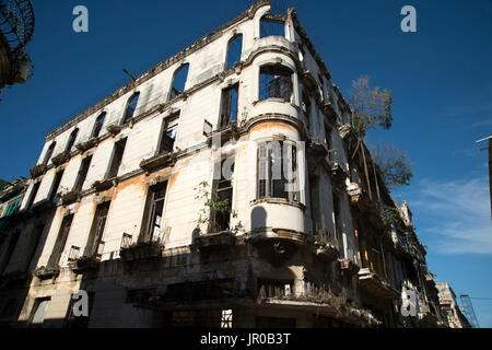 Recherche d'une un immense bâtiment sans fenêtre colonial en ruine dans la région de Centro Havana Cuba Banque D'Images