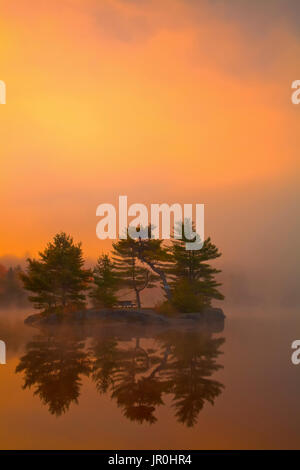 Lever du soleil avec des couleurs automne brume matinale à Dollar Dollar, Le Lac Lake Provincial Park ; Nova Scotia, Canada Banque D'Images