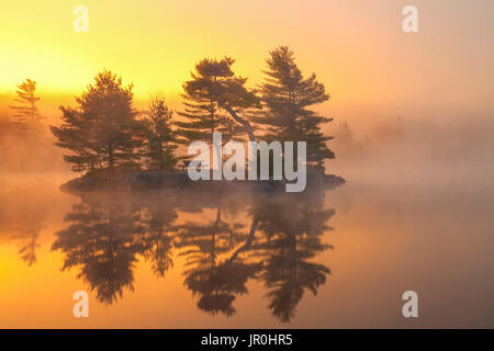 Octobre Misty Morning Sunrise et l'île sur le lac de Dollar, Dollar Lake Provincial Park ; Nova Scotia, Canada Banque D'Images