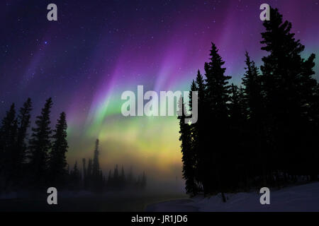 Un brouillard sur Aurora brille au-dessus de la rivière Clearwater à Delta Junction, Alaska sur un -30 °F (-34 C) la nuit. Banque D'Images