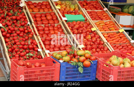 Beaucoup de tomates rouges mûres dans les cases en vente dans l'épicerie en été Banque D'Images