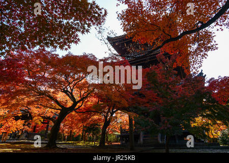 Fiery red érables en automne et une pagode japonaise traditionnelle à Kyoto, Japon Banque D'Images
