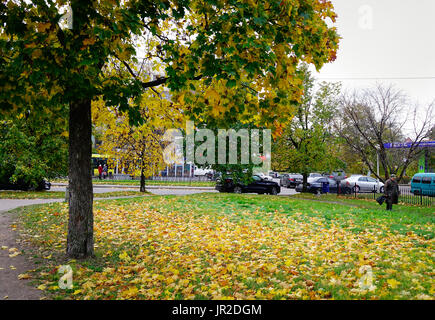 Vyborg, Russie - 6 Oct, 2016. Les arbres d'automne au parc de la ville de Vyborg, Russie. A 174km au nord-ouest de Vyborg de Saint-Pétersbourg et à seulement 30 km de l'Finni Banque D'Images