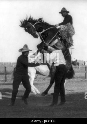 Cow-boys de l'Ouest américain a développé une culture personnelle de leur propre, un mélange de frontière et les valeurs victoriennes que même des vestiges conservés de la chevalerie. Ces travaux dangereux dans des conditions d'isolement nourrit aussi une tradition d'autonomie et de l'individualisme, avec une grande valeur mis sur l'honnêteté, illustré par des chansons et de la poésie. Le cow-boy moyen gagné environ un dollar par jour, plus la nourriture, et, quand, près de la maison ranch, un lit dans le dortoir, habituellement une caserne-comme la construction d'une seule pièce ouverte. Le tronçonnage est un mouvement effectué par un cheval dans lequel l'animal abaisse sa tête et sensibiliser Banque D'Images