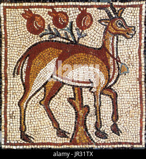 Mosaïque byzantine, Gazelle. (Theodorias Qasr moderne Libye) était une ville byzantine dans la Cyrénaïque, fondée en 539 par l'empereur Justinien et nommé en l'honneur de son épouse, l'impératrice Théodora. L'histoire de Qasr Libye remonte à la période grecque (4e siècle avant J.-C.), quand il a été appelé Olbia. Le complexe comporte deux églises : l'église orientale, découvert en 1957, et l'Église occidentale, découvert en 1964. Les mosaïques ont été exhumés dans l'église orientale à proximité après avoir été découvert par des ouvriers de Libye. La collection contient 50 panneaux, principalement d'animaux, dieux, déesses, nymphes, et f Banque D'Images