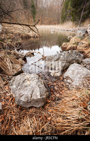 Vue grand angle d'une partie isolée du lac Alpsse en Bavière. Banque D'Images