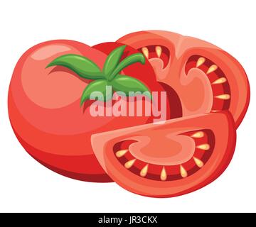 Vector illustration de gros fruits rouges tomates fraîches isolées sur fond blanc page de site Web et mobile app design croquis détaillés de la nourriture végétarienne. Illustration de Vecteur