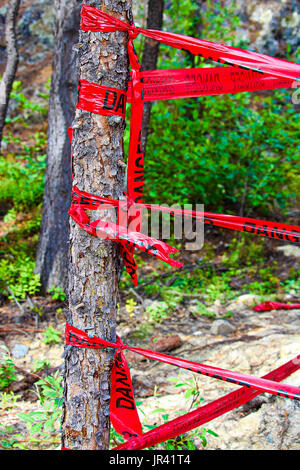 Ruban rouge danger enroulé autour d'un arbre. Banque D'Images