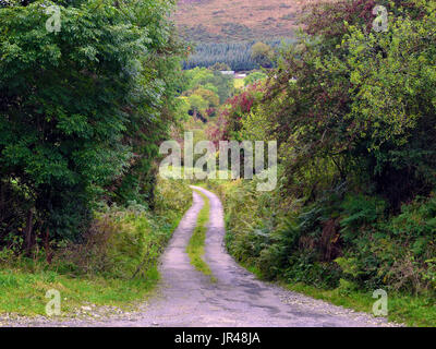 Vue d'un sentier sinueux dans un coin éloigné du Co Wicklow, Irlande Banque D'Images