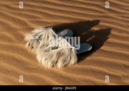 Poil de chèvre marocain fantaisie chaussons sur le sable du désert. Banque D'Images