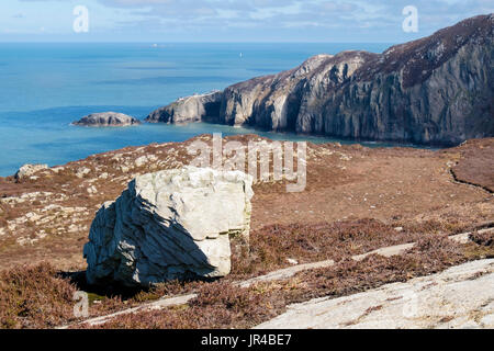 Vue sur la baie à Gogarth pile dans les falaises du nord European Geopark. Holyhead, Holy Island, île d'Anglesey (Ynys Mon), pays de Galles, Royaume-Uni, en Grande-Bretagne, en Europe. Mos Banque D'Images