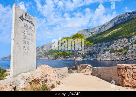 Pin, symbole de sveta nedilja plenkovic, dans, connu sous le nom de høvringen sur l'île croate de Hvar. Il est situé près de la ville de Hvar Banque D'Images