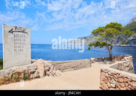 Pin, symbole de sveta nedilja plenkovic, dans, connu sous le nom de høvringen sur l'île croate de Hvar. Il est situé près de la ville de Hvar Banque D'Images